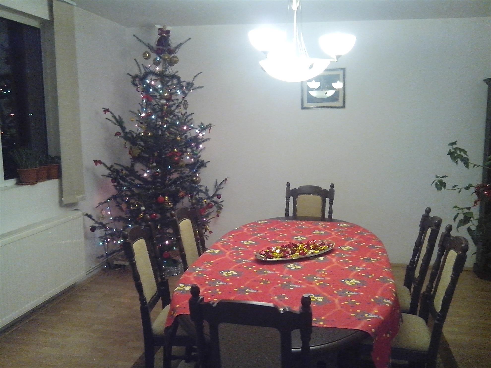 in asteptarea mosului - img201312212022355719838.jpg